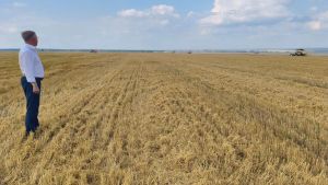 Аграриям Каменского района предстоит убрать 66 229 гектаров зерновых культур