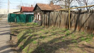 Фитофтора на картофеле в середине августа: удалять ботву, копать или обрабатывать