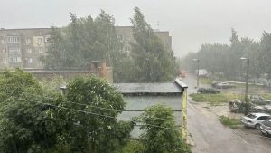 Синоптики прогнозируют дожди и похолодание в Пензенской области 13 августа
