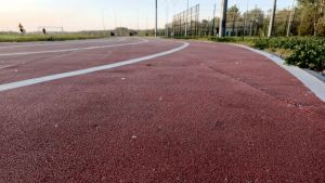 В Сердобске 15 августа пройдут Летние сельские спортивные игры