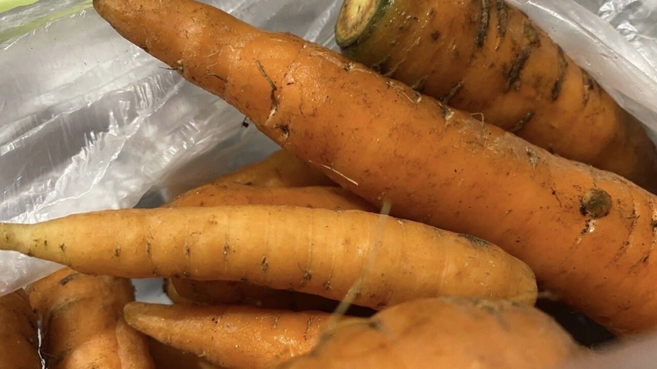 Защита от экранов и УФ-лучей: офтальмологи назвали продукты, реально укрепляющие зрение