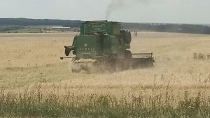 Сельхозпродукцию из Пензы будут отправлять в Турцию по новым правилам