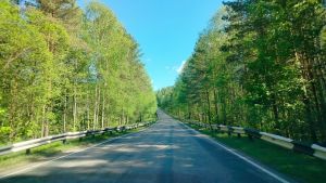 В Пензенской области прокуратура выявила 2,2 тысячи нарушений на дорогах