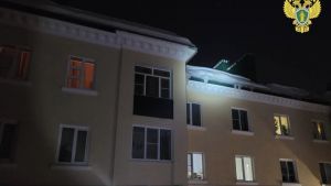Вынесен приговор директору УК, по вине которого глыба льда упала на пензячку