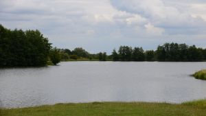 Пензенский Роспотребнадзор назвал признаки опасного для купания водоема