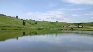 Роспотребнадзор назвал три водоема Пензенской области, где опасно купаться