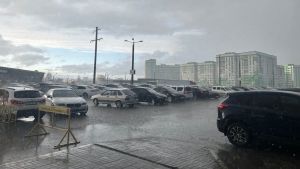 25 градусов, гроза и ливень: прогноз погоды для Пензенской области на 20 августа