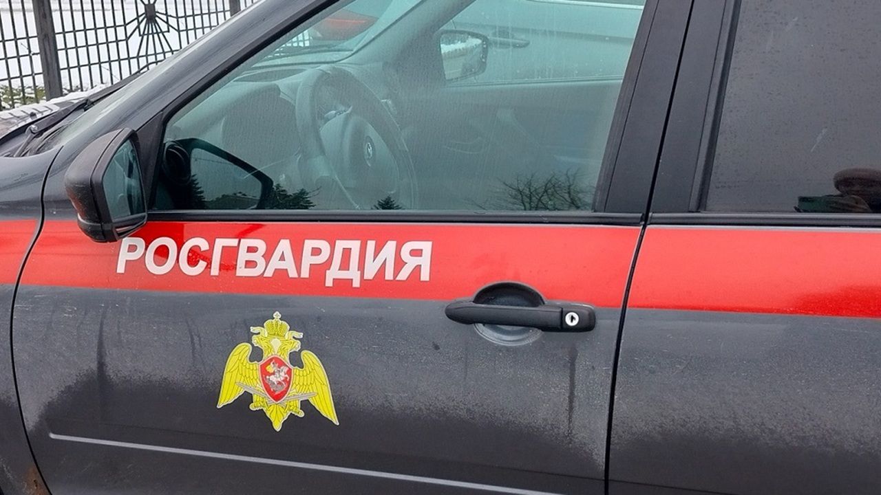 В центре Пензы сотрудники Росгвардии задержали 63-летнего дебошира