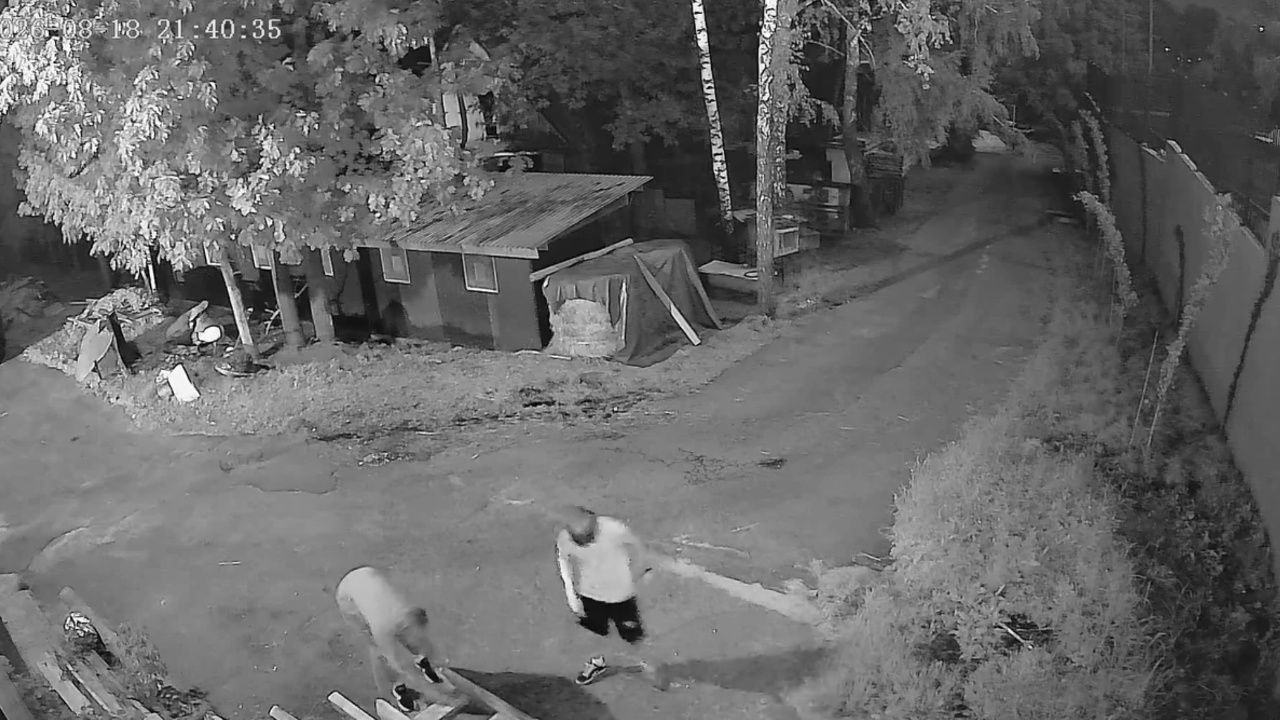 В Пензенский зоопарк ночью проникли подростки