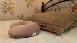 Забыли, что такое бодрость и спокойствие? 5 минут упражнений и парадокс сна перезагрузят ваш мозг