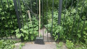 За три месяца в Пензе временно трудоустроили 164 подростка