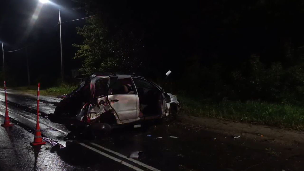 Авария с 3 погибшими, день флага, драка в очереди за бензином — главные новости Пензенской области за 22 августа