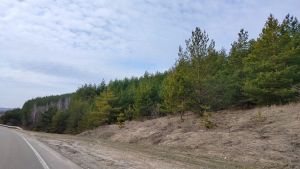 В Пензенской области 57 раз нарушили правила охоты