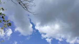 В Пензенской области 27 августа ожидается 21 градуса тепла, без дождей