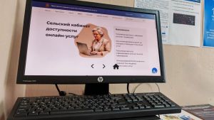 В Пензенской области создают сеть сельских кабинетов онлайн-услуг