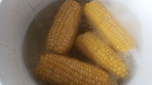 Узнала, чем полезна кукуруза, и ахнула: теперь варю, запекаю и замораживаю - запаслась на год вперед
