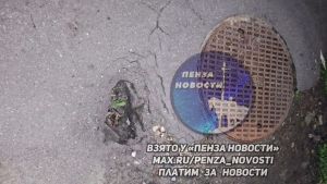Соцсети: в Пензе ребенок споткнулся из-за ямы и сломал зуб