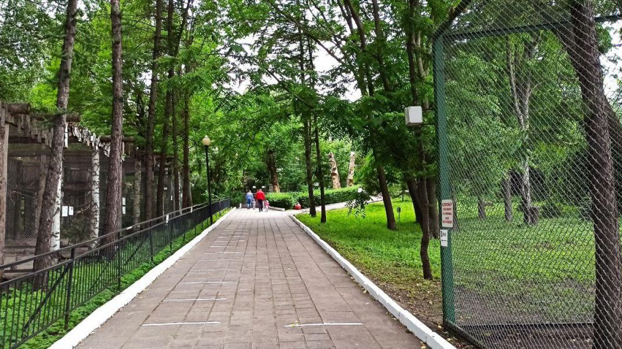 В Пензе многодетным дали льготу в зоопарке и парке Белинского