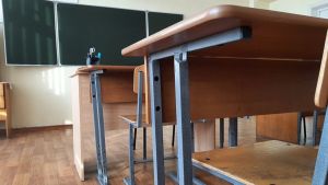 Пензенцы попросили установить «лежачих полицейских» по дороге к одной из школ