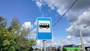 В Пензе «тиграм» предоставят 90 000 бесплатных поездок в общественном транспорте