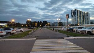 В Пензенской области отменили сразу три экстренных режима