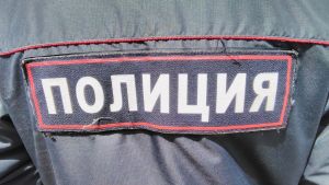 В Мокшанском районе двое взрослых и ребенок пострадали в ДТП с большегрузом