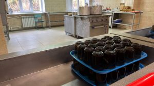Пензенцам объяснили, почему не рекомендуется приносить домашнюю еду в школу