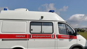 В ДТП с трактором в Пензенской области погиб водитель авто, пострадал ребенок