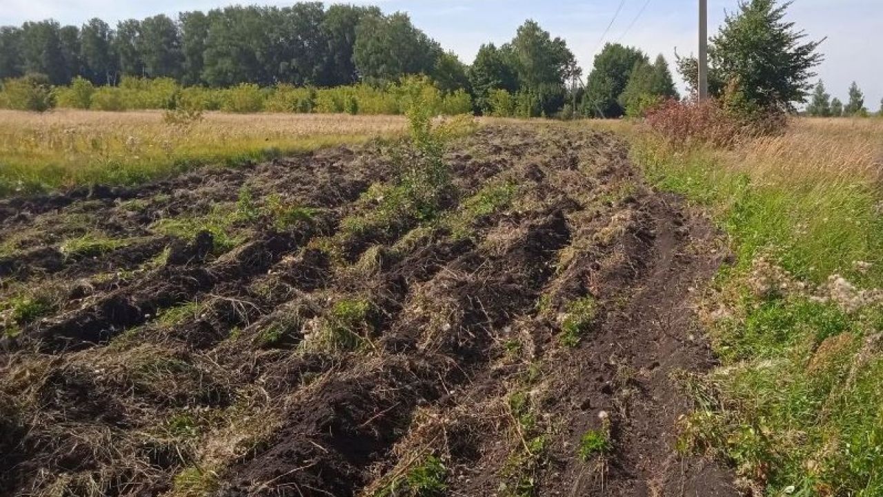 В Пензе начали обновление минерализованных полос