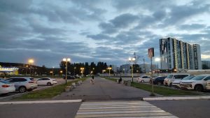 В Пензенской области 3 сентября ввели «Беспилотную опасность» и план «Ковер»