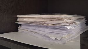 В Пензенской области Государственный архив передадут Минкульту