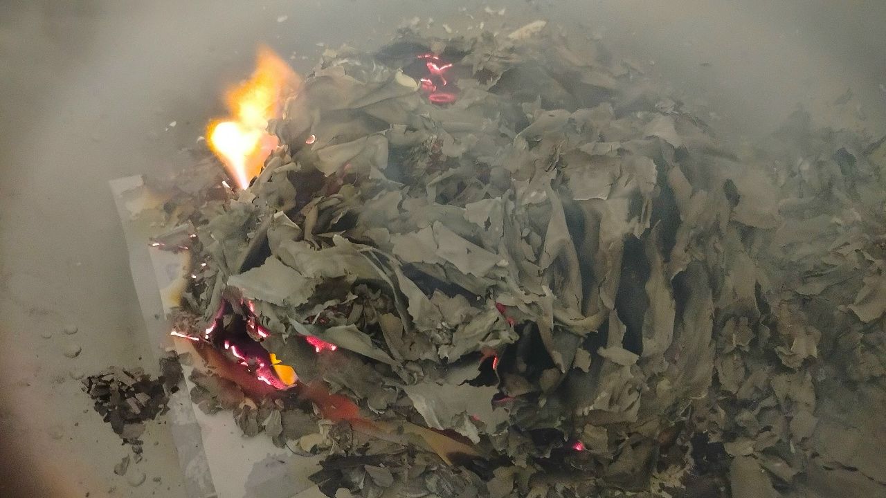 В Пензе усилили контроль за сжиганием мусора из-за жалоб на дым