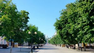 Блогер Марк Еремин оценил дороги и парки Пензы