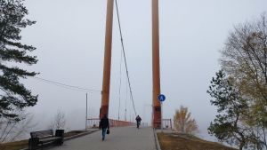Пензенцам ответили на вопрос о сроках покраски моста Дружбы