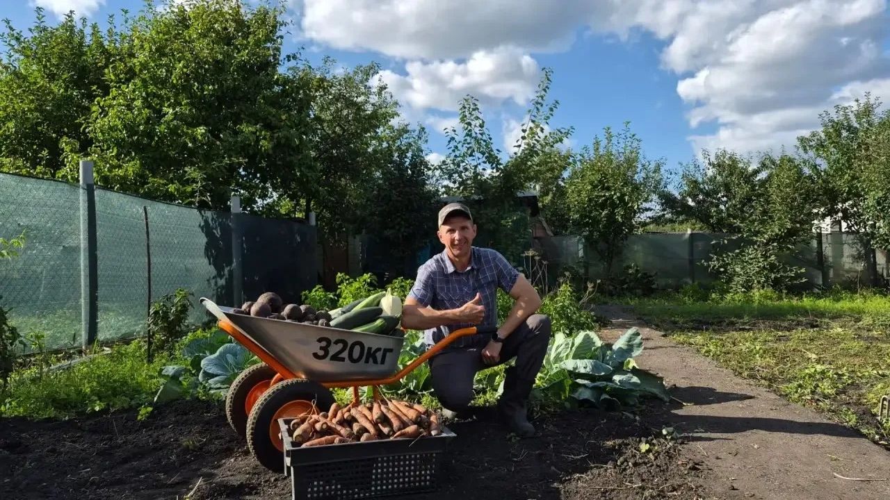 Глава Пензы Олег Денисов показал снимки урожая со своего огорода