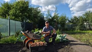 Глава Пензы Олег Денисов показал снимки урожая со своего огорода