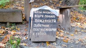 Старт осеннего месячника по благоустройству, авария с подростком и массовое отключение света — новости Пензы и области за 7 сентября