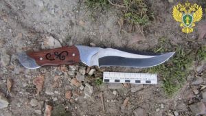 Житель Кузнецкого района пырнул зятя ножом в живот на почве ссоры