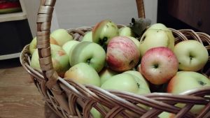 Нежный яблочный пирог с сахарной корочкой: тает во рту - делюсь тонкостями приготовления