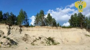 В Никольском районе возбудили дела о незаконной добыче песка на 2,3 млн рублей