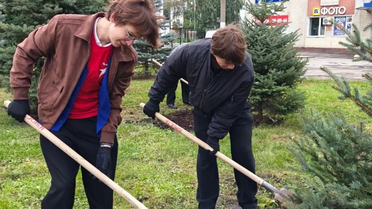 В Пензе у торгового центра на Суворова высадили 10 елей