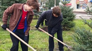 В Пензе у торгового центра на Суворова высадили 10 елей