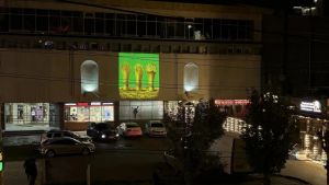 На здании в центре Пензы разместили подсветку в виде герба