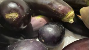 Баклажаны в духовке с сырной шапкой: как просто приготовить сочное и нежное блюдо