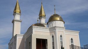 Открытие новой Соборной мечети, авария с ребенком и стоимость питания в школах — новости Пензы и области за 11 сентября