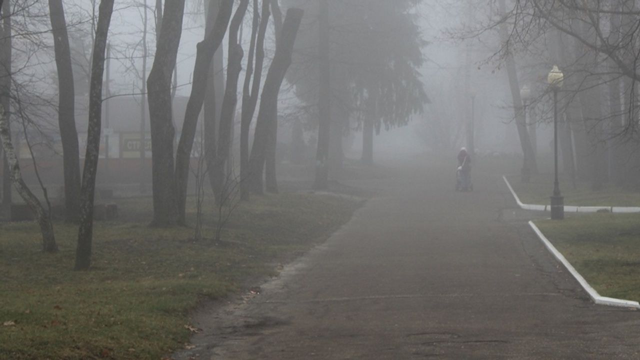 Пензу 14 сентября накрыл густой туман