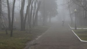 Пензу 14 сентября накрыл густой туман