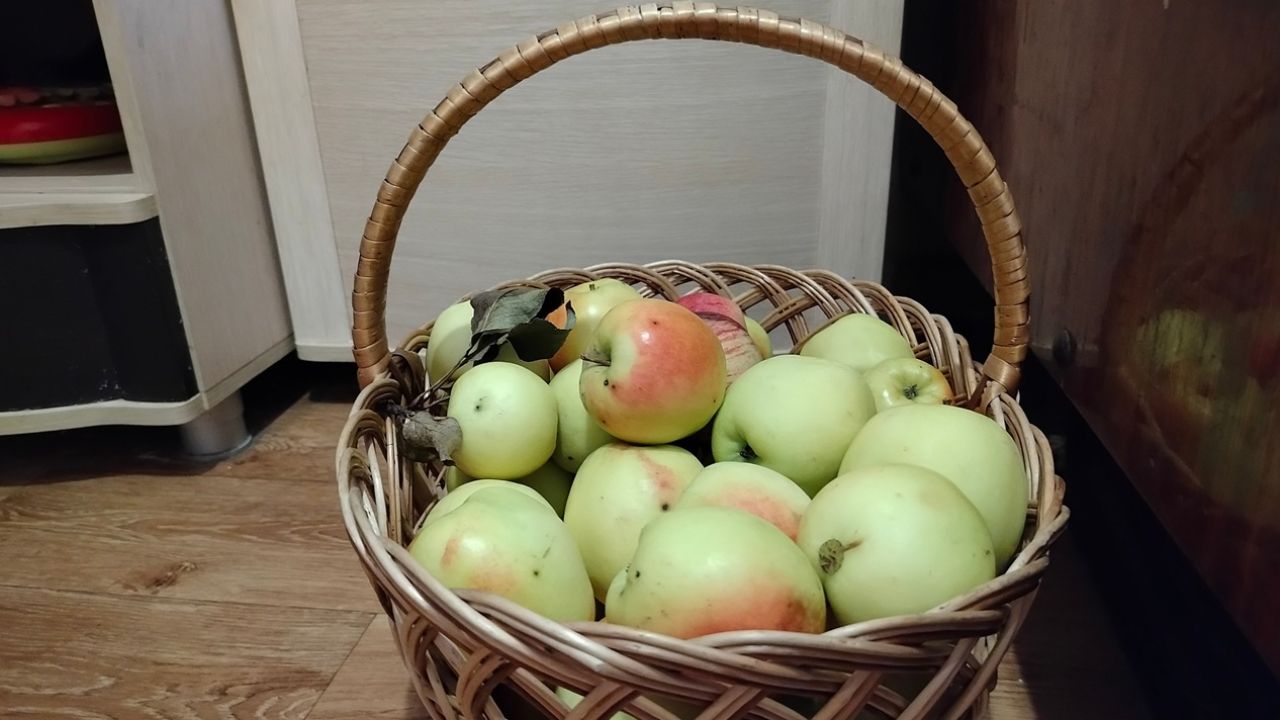 Густое яблочное пюре для малыша - нужны лишь вода и яблоки: делюсь тонкостями приготовления