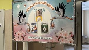 Названы самые популярные и редкие имена в Пензенской области