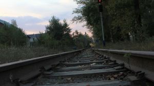 На железнодорожных станциях Пензенской области увеличились объемы погрузки зерна